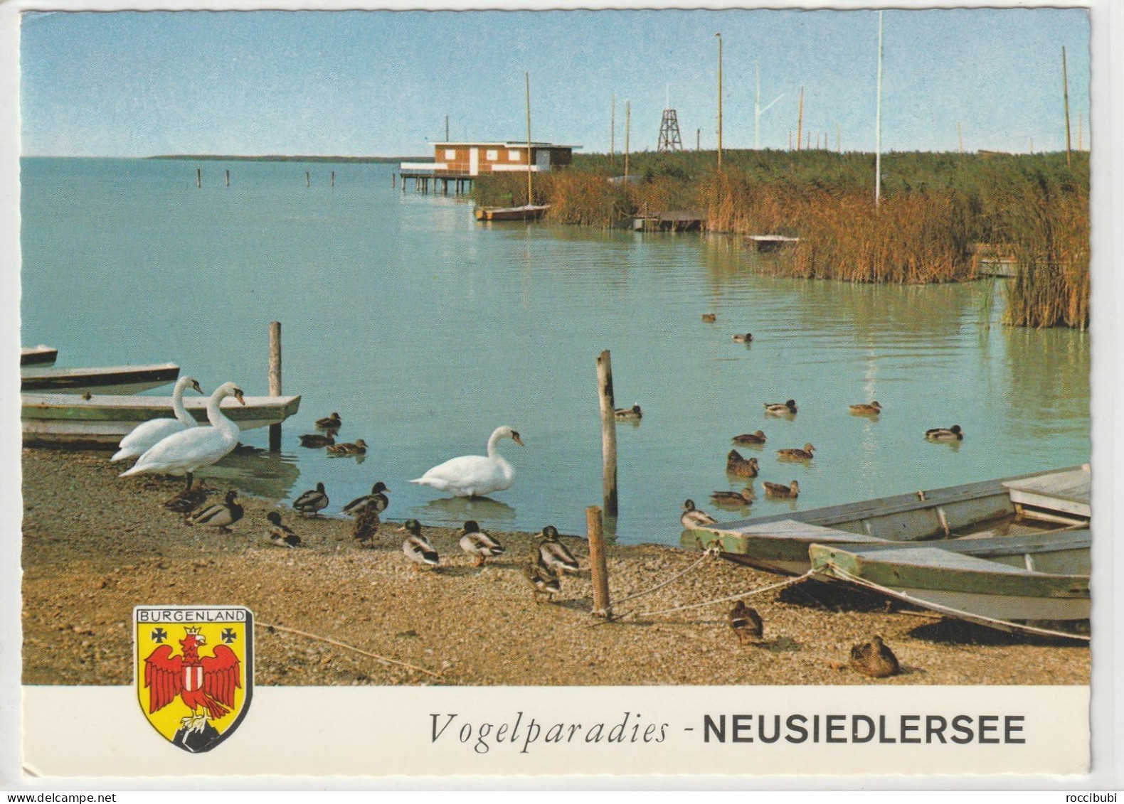 AK Österreich, Neusiedlersee