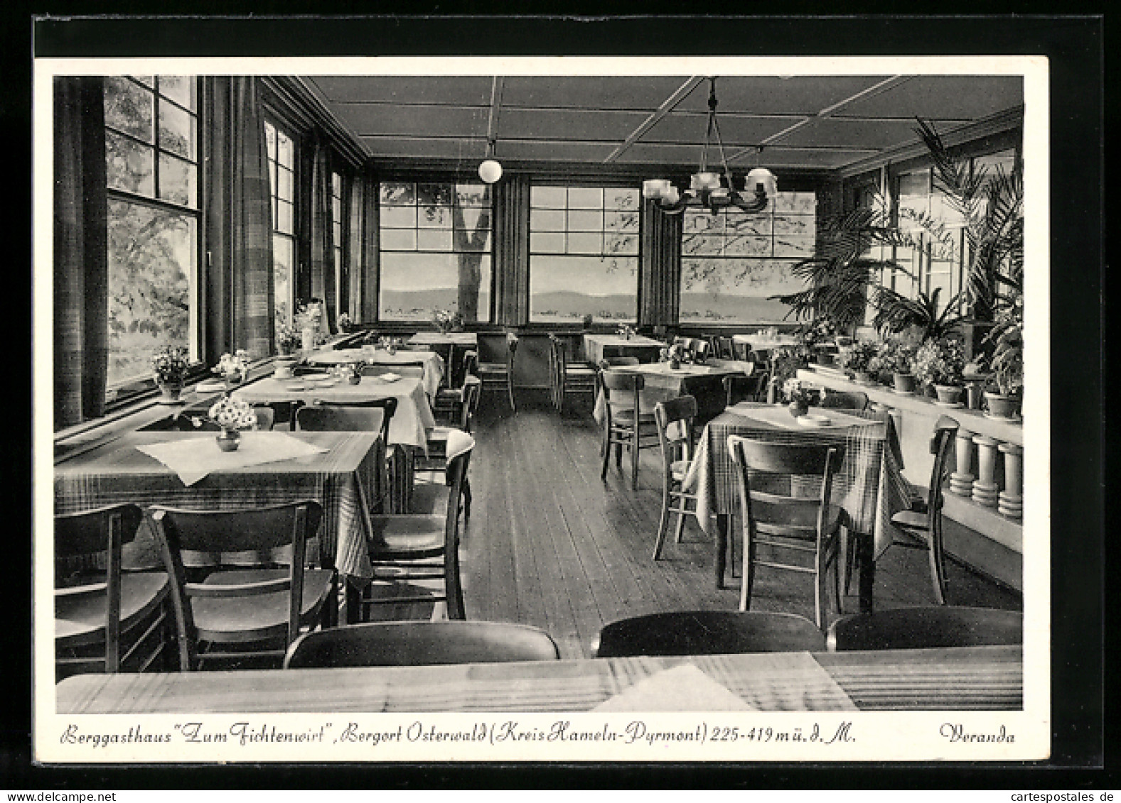 AK Osterwald Krs Hameln-Pyrmont, Veranda im Berggasthaus Zum Fichtenwirt