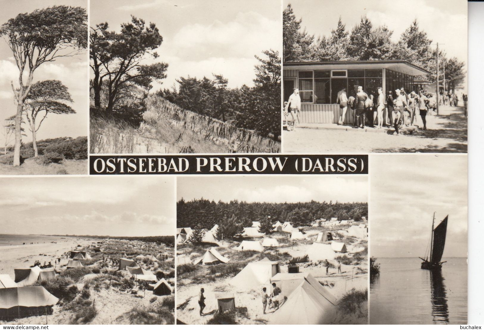 AK Ostseebad Prerow (Darss) - ungelaufen
