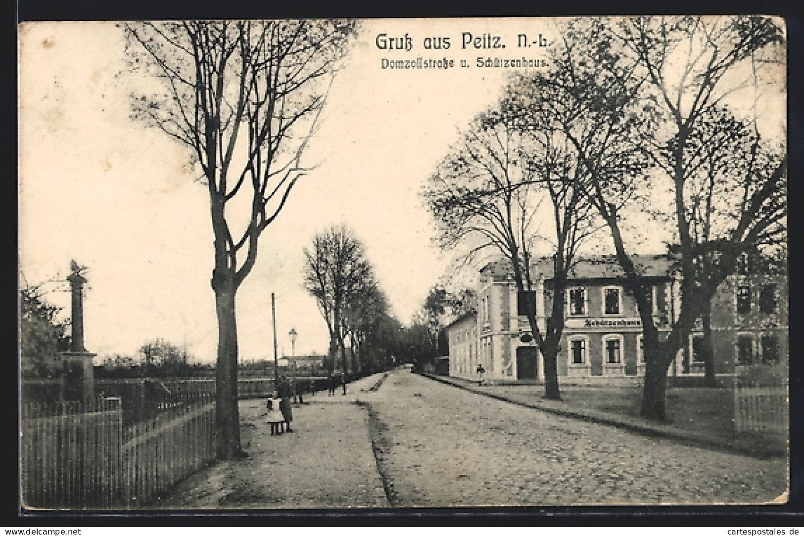 AK Peitz, Domzollstrasse und Schützenhaus