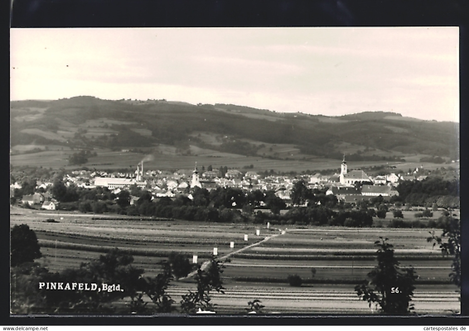AK Pinkafeld im Bgld., Gesamtansicht