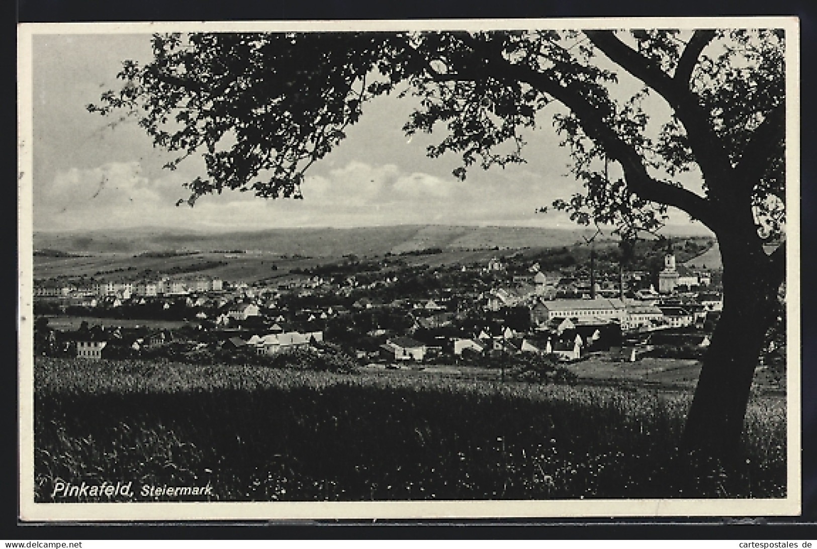 AK Pinkafeld /Steiermark, Teilansicht mit Baum