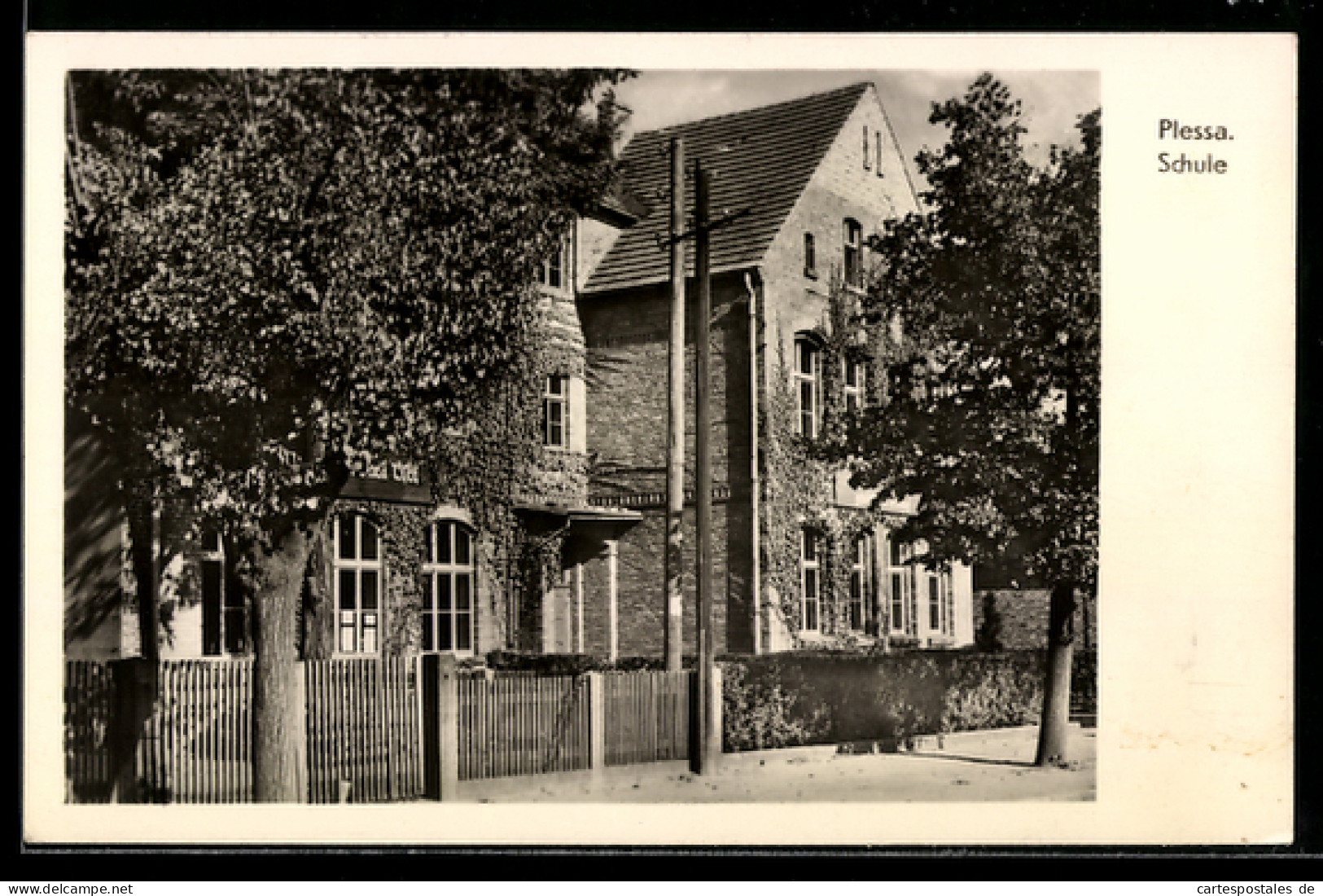 AK Plessa, Die Schule