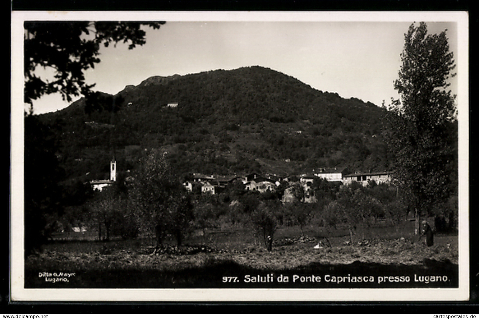 AK Ponte Capriasca /Lugano, Panorama