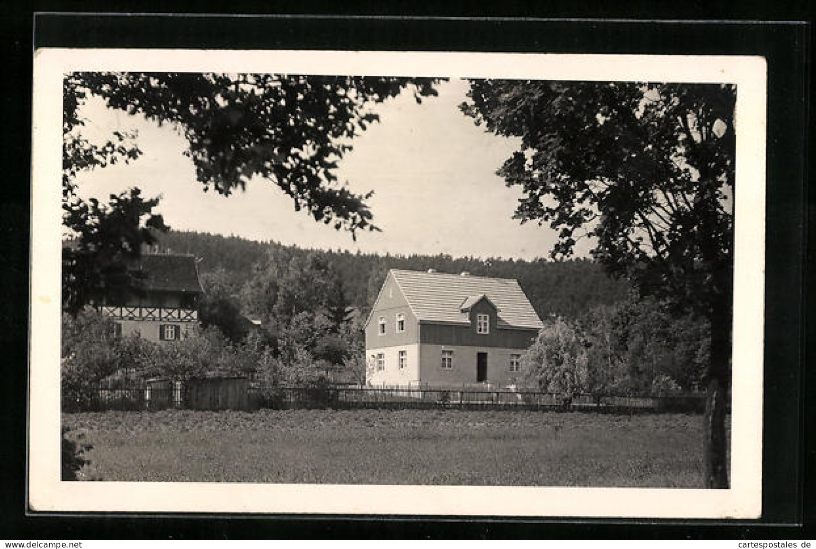 AK Pössneck, Häuseransicht im Grünen