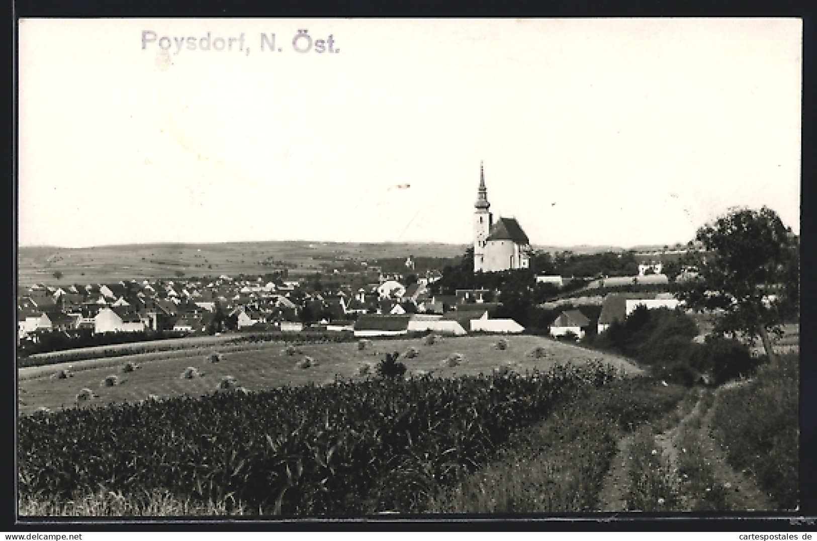 AK Poysdorf /N.-Öst., Teilansicht mit Kirche