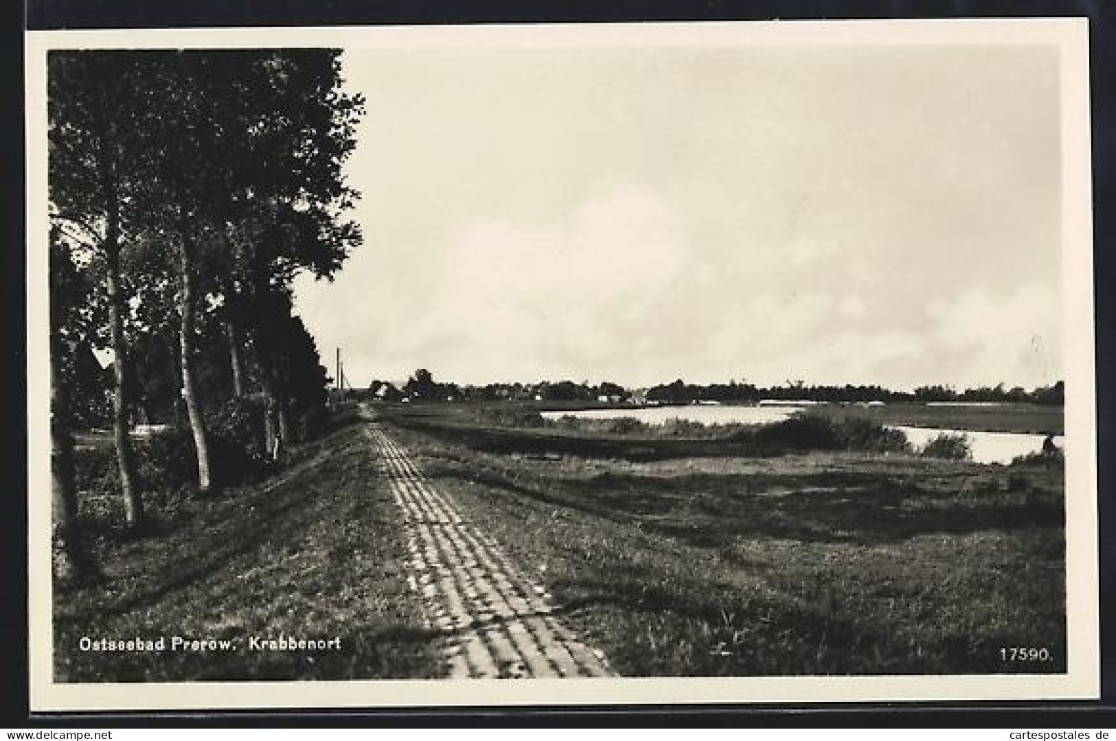 AK Prerow-Krabbenort, Teilansicht