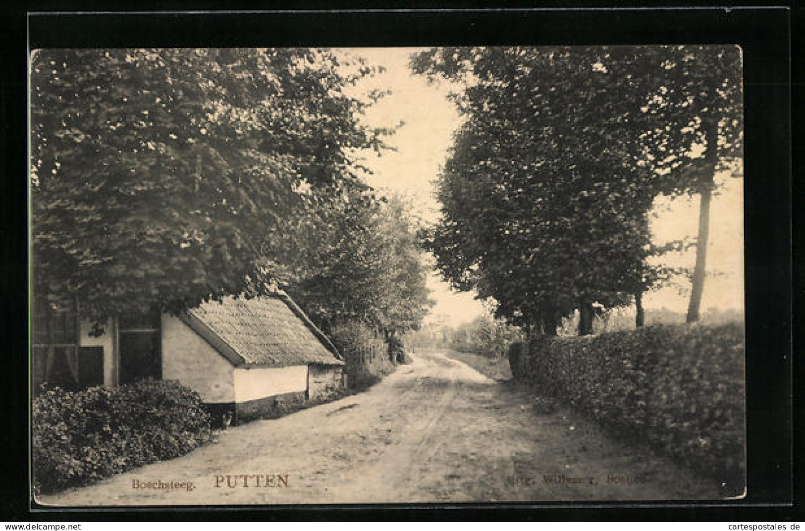 AK Putten, Boschsteeg