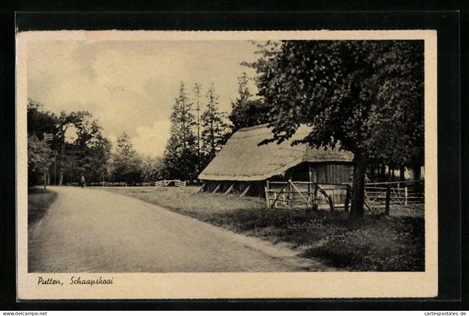 AK Putten, Schaapskooi