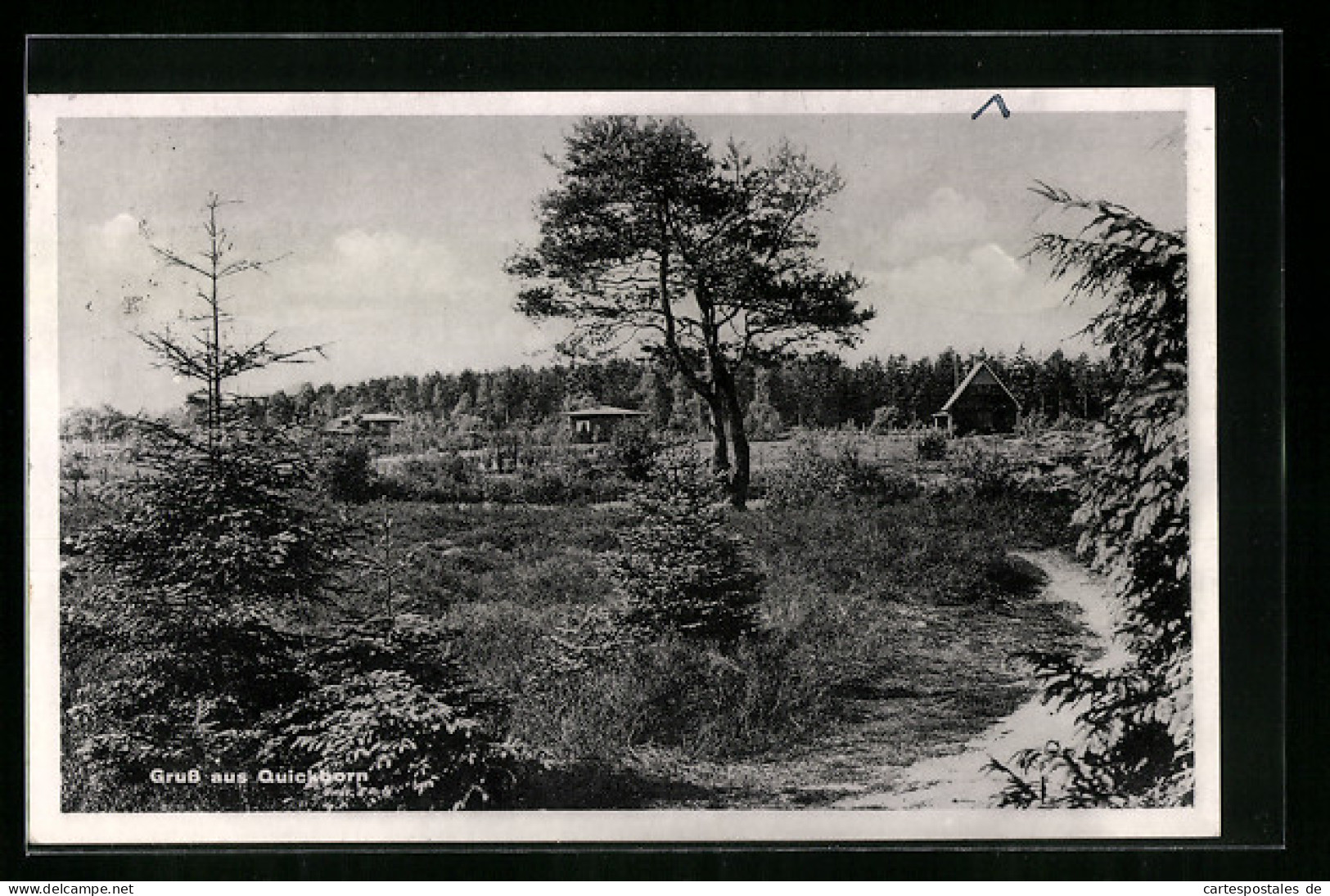 AK Quickborn, Ortspartie mit Häusern und Waldblick