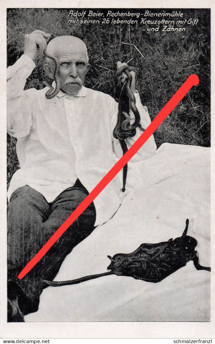 AK Rechenberg Bienenmühle Adolf Beier Kreuzotter Schlange Clausnitz Nassau Neuhausen Frauenstein Sayda Mulda Erzgebirge