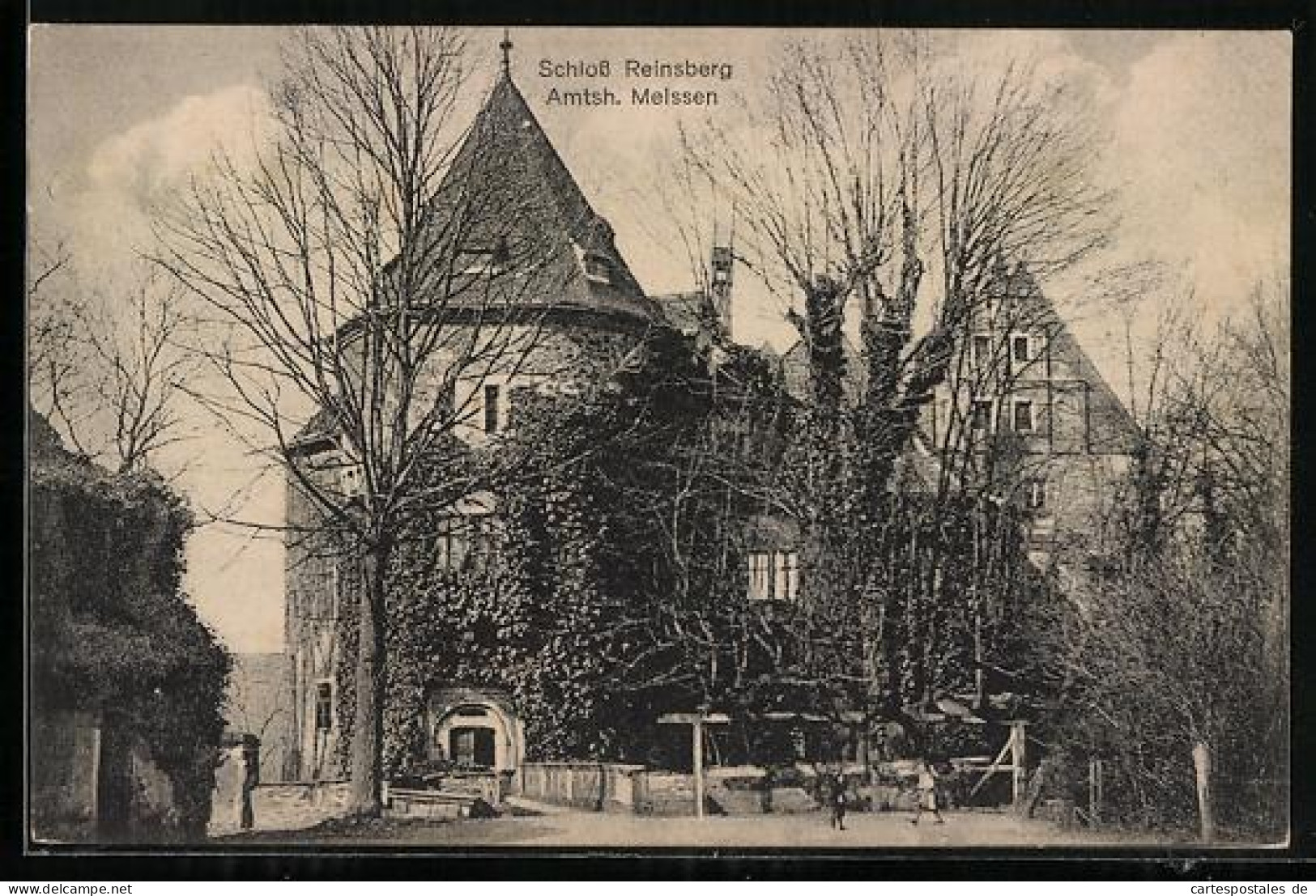 AK Reinsberg / Sachsen, Schloss mit Grünanlagen