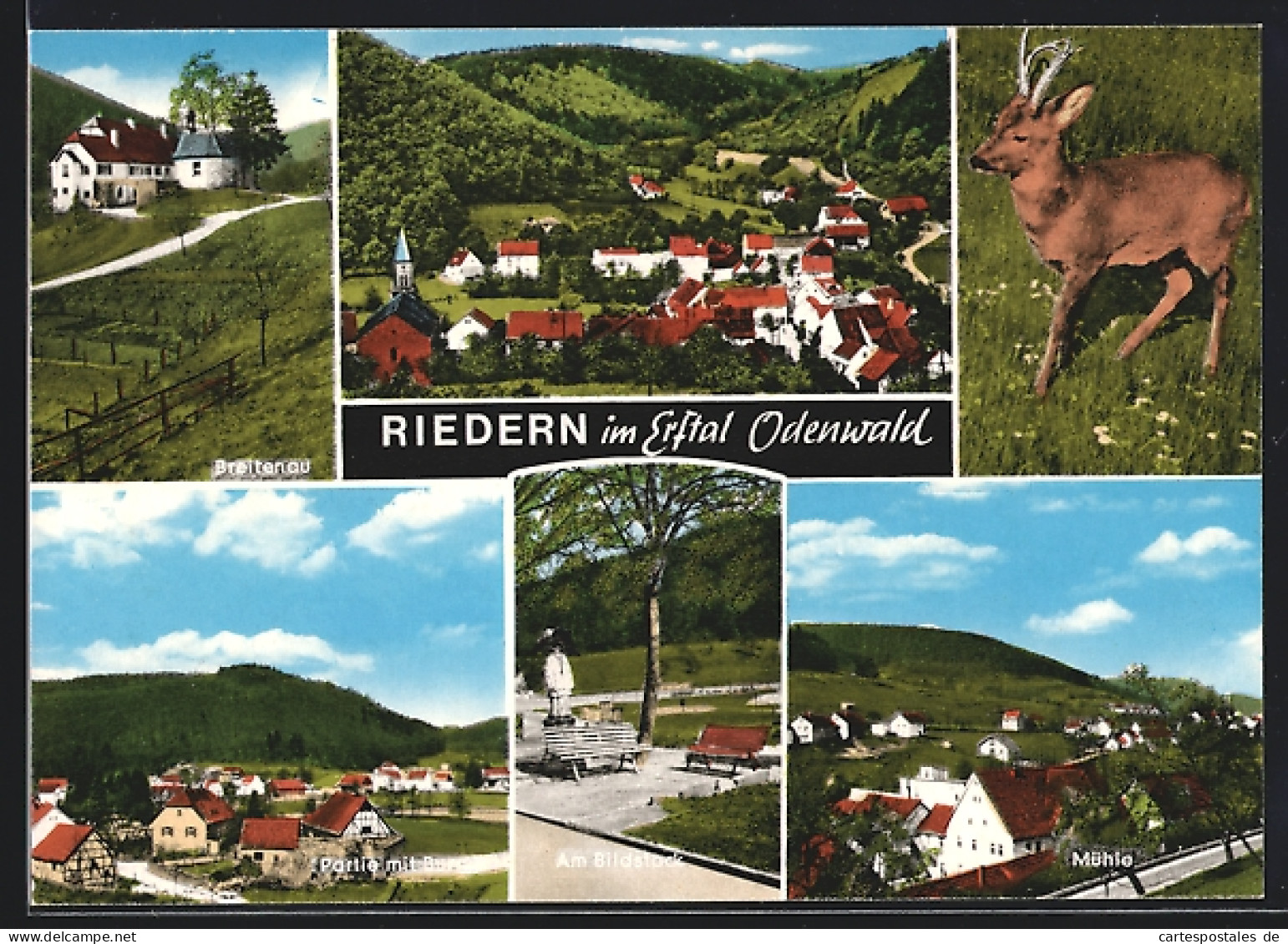 AK Riedern im Erftal, Partie mit Burg, Breitenau, Am Bildstock