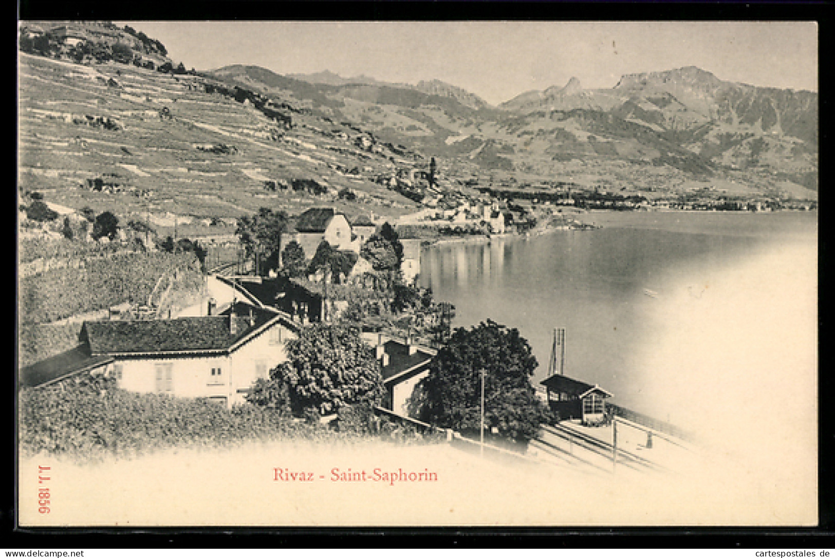 AK Rivaz bei Saint-Saphorin, Vue panoramique, gare