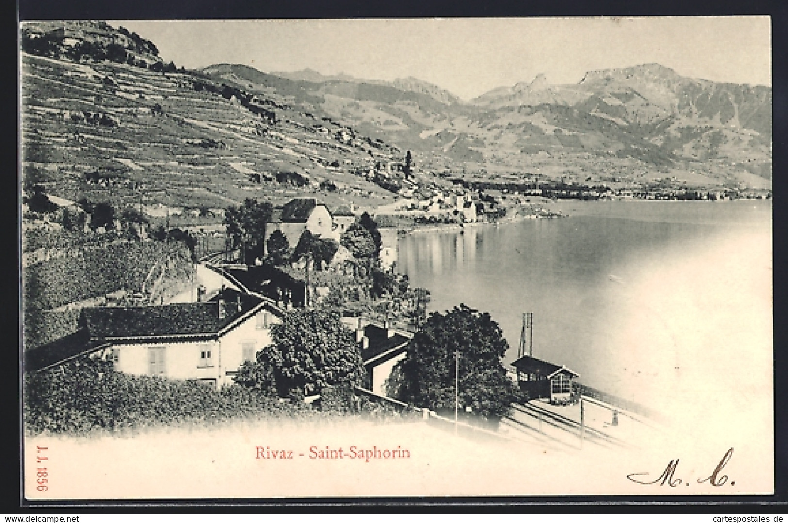 AK Rivaz-Saint-Saphorin, Panorama mit Bergen