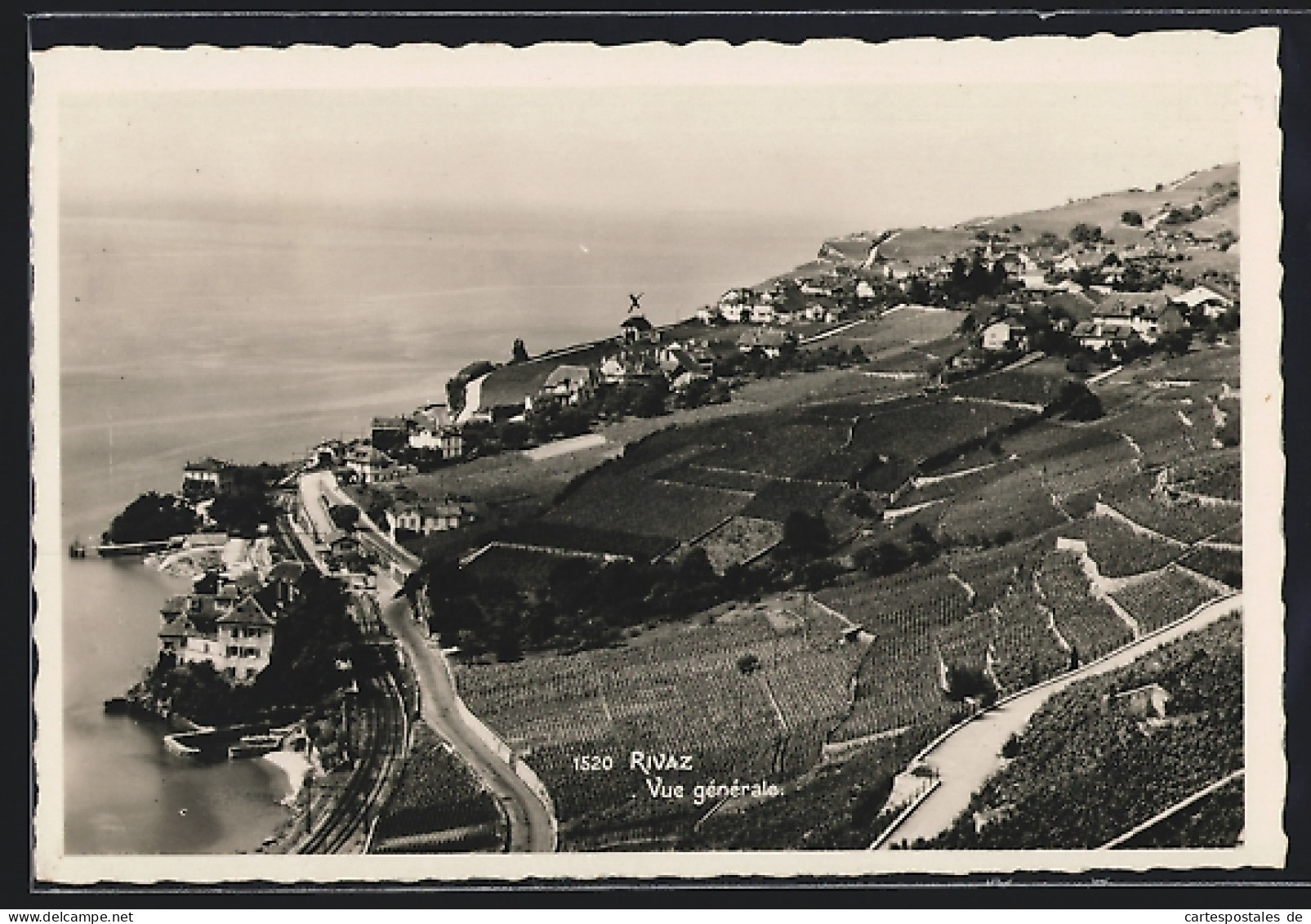 AK Rivaz, Vue générale