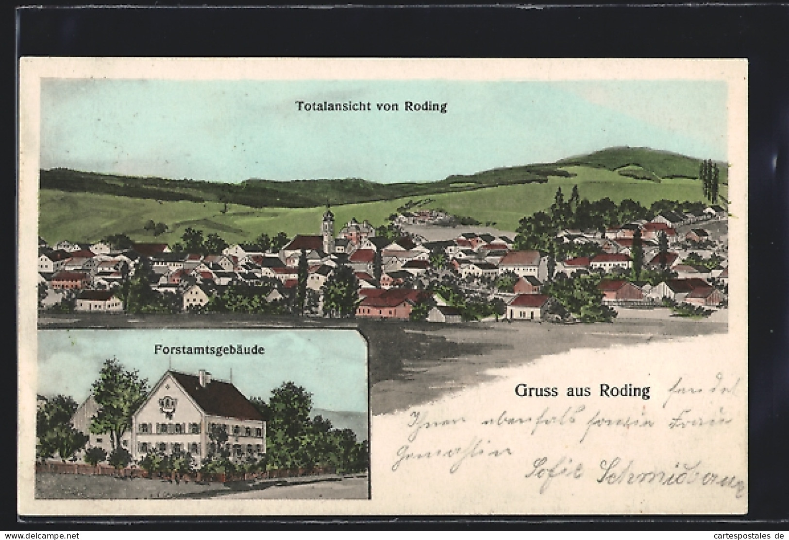 AK Roding / Obpf., Forstamt, Totalansicht mit Umgebung