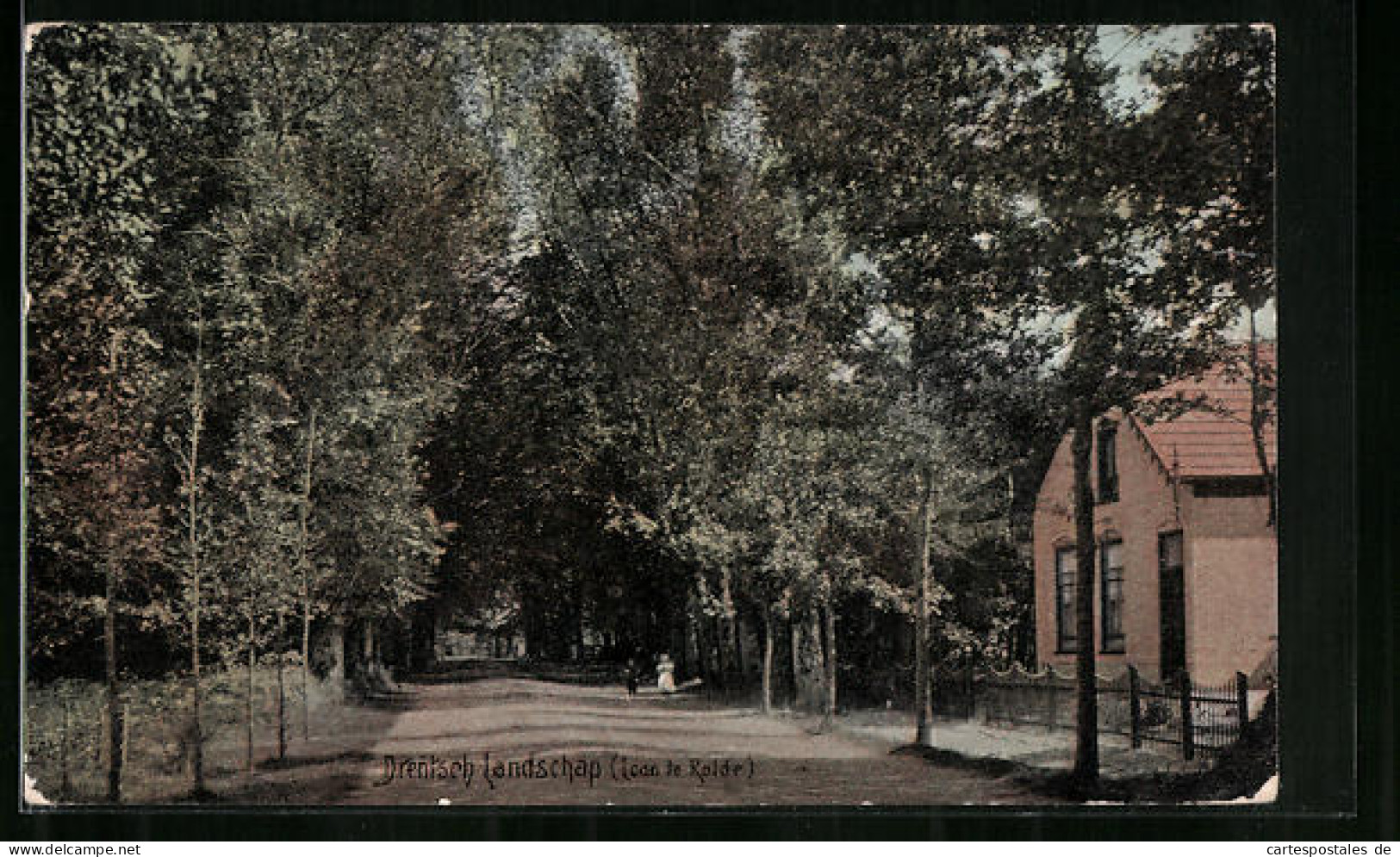 AK Rolde, Drentsch Landschap, Laan te Rolde