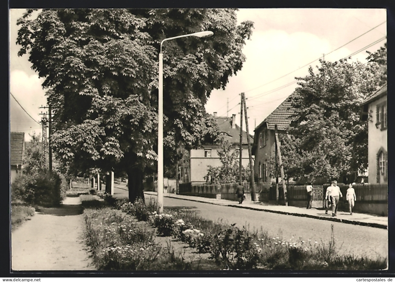 AK Rossleben /Kr. Artern, Ziegelrodaer Strasse mit Passanten