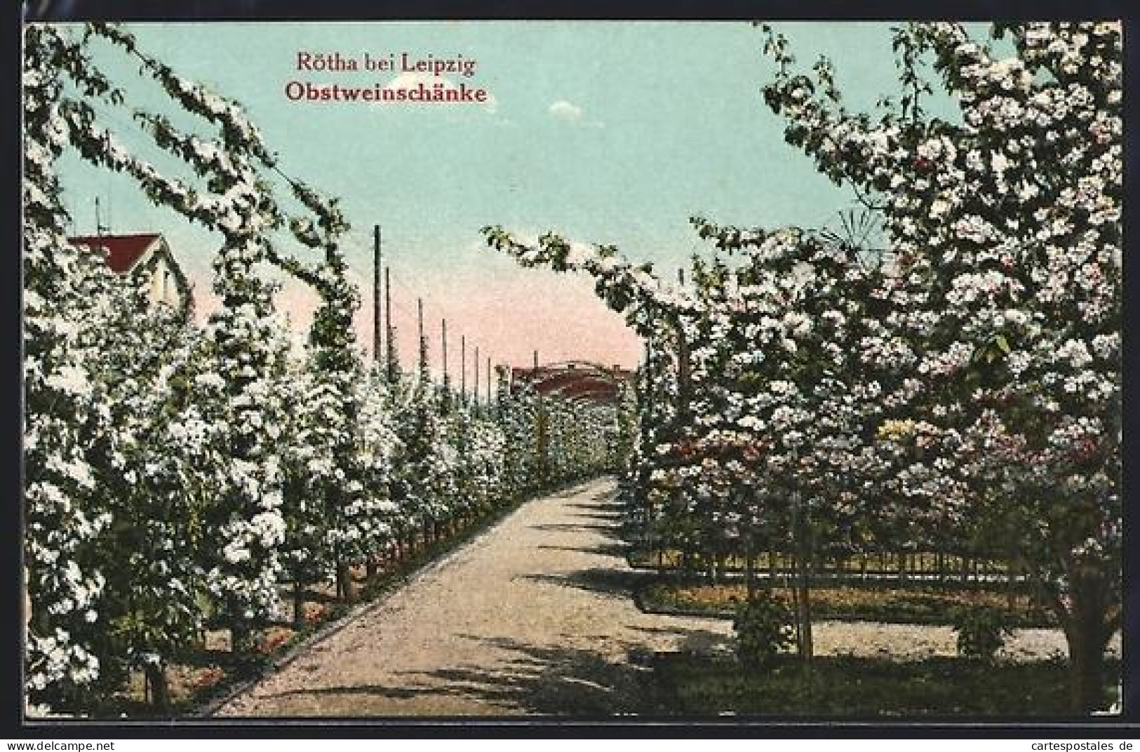 AK Rötha bei Leipzig, Gasthaus Obstweinschänke, Garten