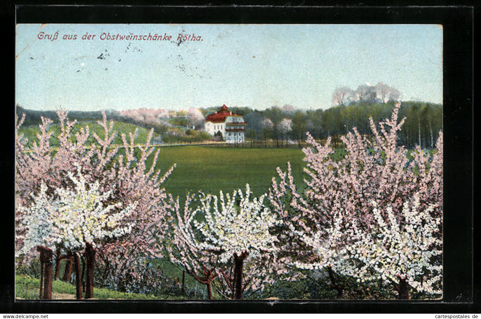 AK Rötha, Gasthaus Obstweinschänke hinter blühenden Bäumen