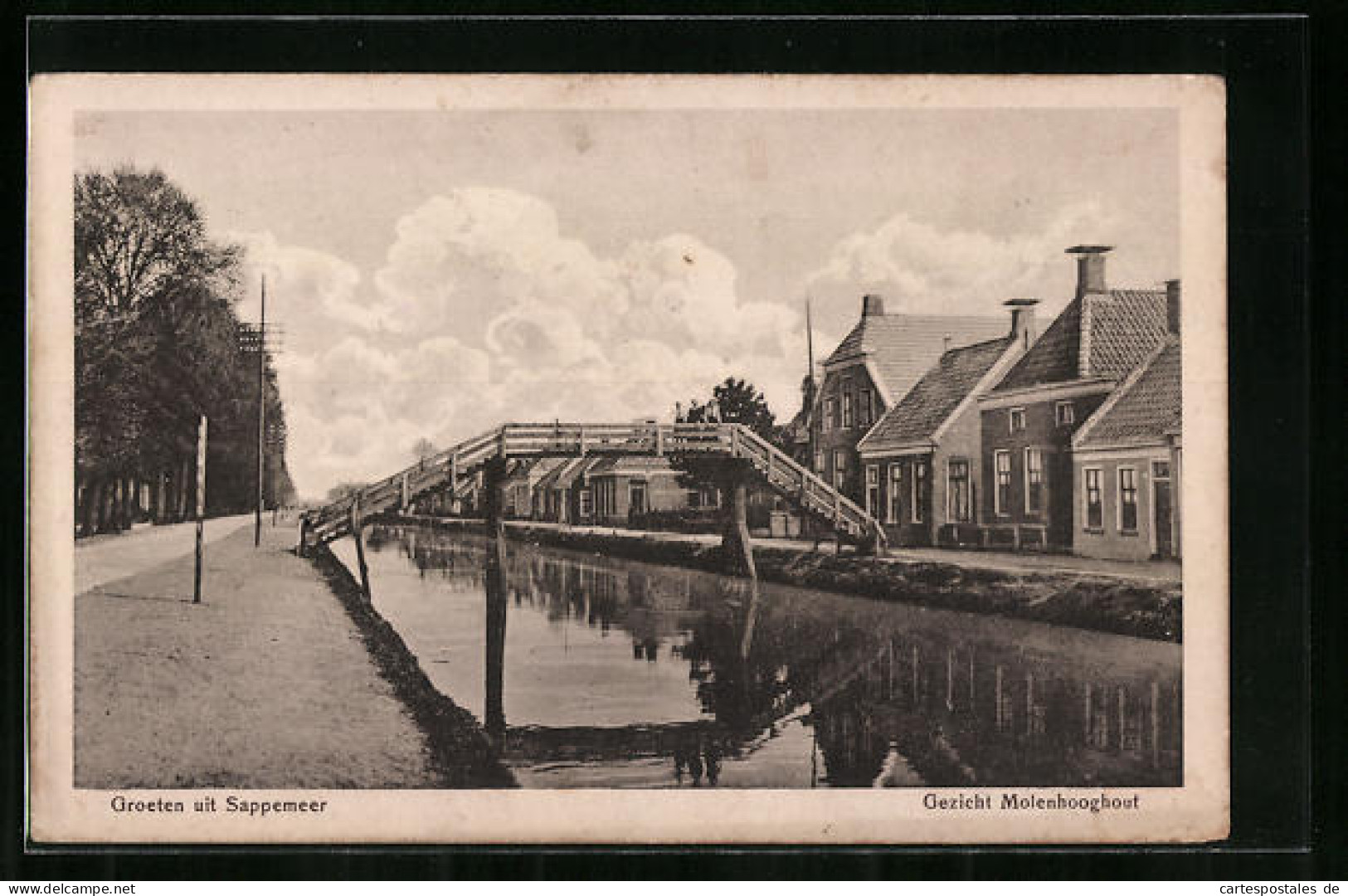 AK Sappemeer, Gezicht Molenhooghout