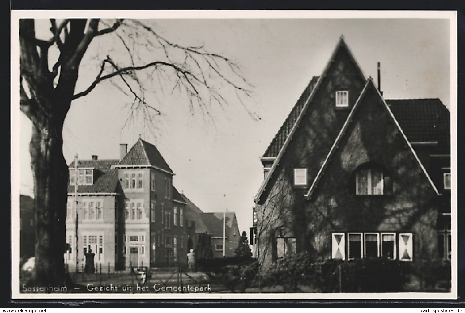 AK Sassenheim, Gezicht uit het Gemeentepark