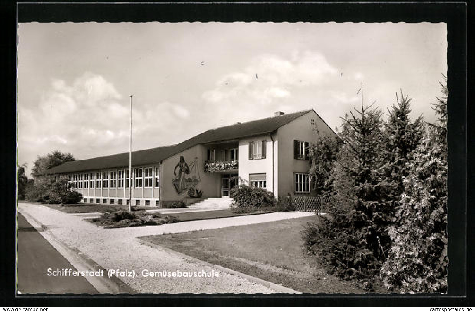 AK Schifferstadt /Pfalz, Teilansicht der Gemüsebauschule