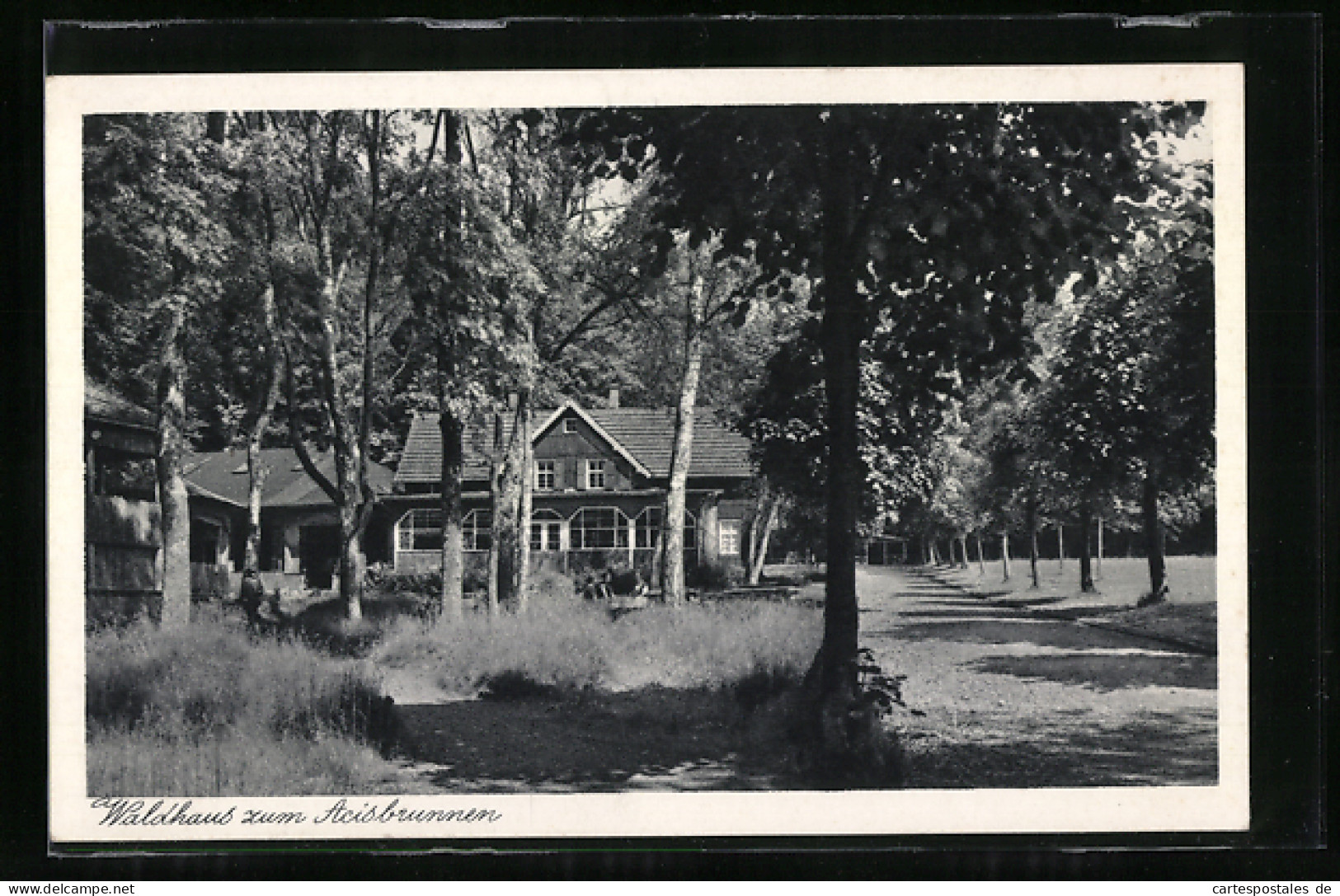 AK Schlüchtern, Waldhaus zum Acisbrunnen