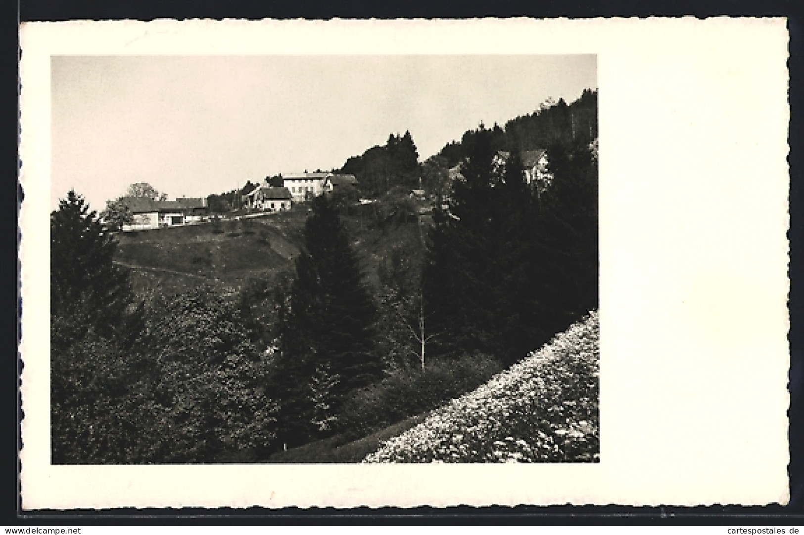 AK Schmidrüti-Wila /Zürich, Ferienkolonie