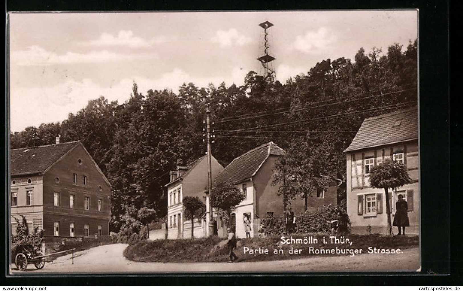AK Schmölln i. Thür., Partie an der Ronneburger Strasse