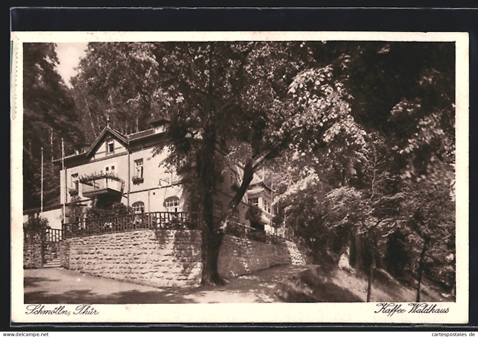 AK Schmölln /Thür., Cafe Waldhaus