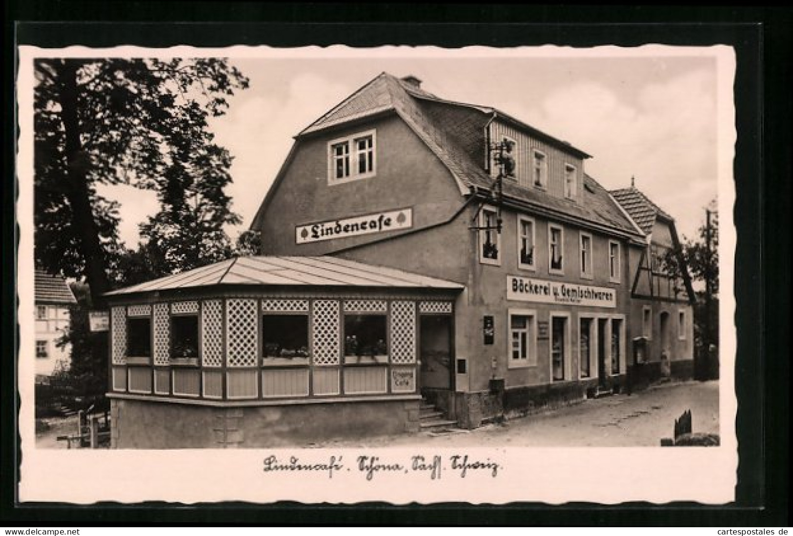 AK Schöna /Sächs., Schweiz, Lindencafe