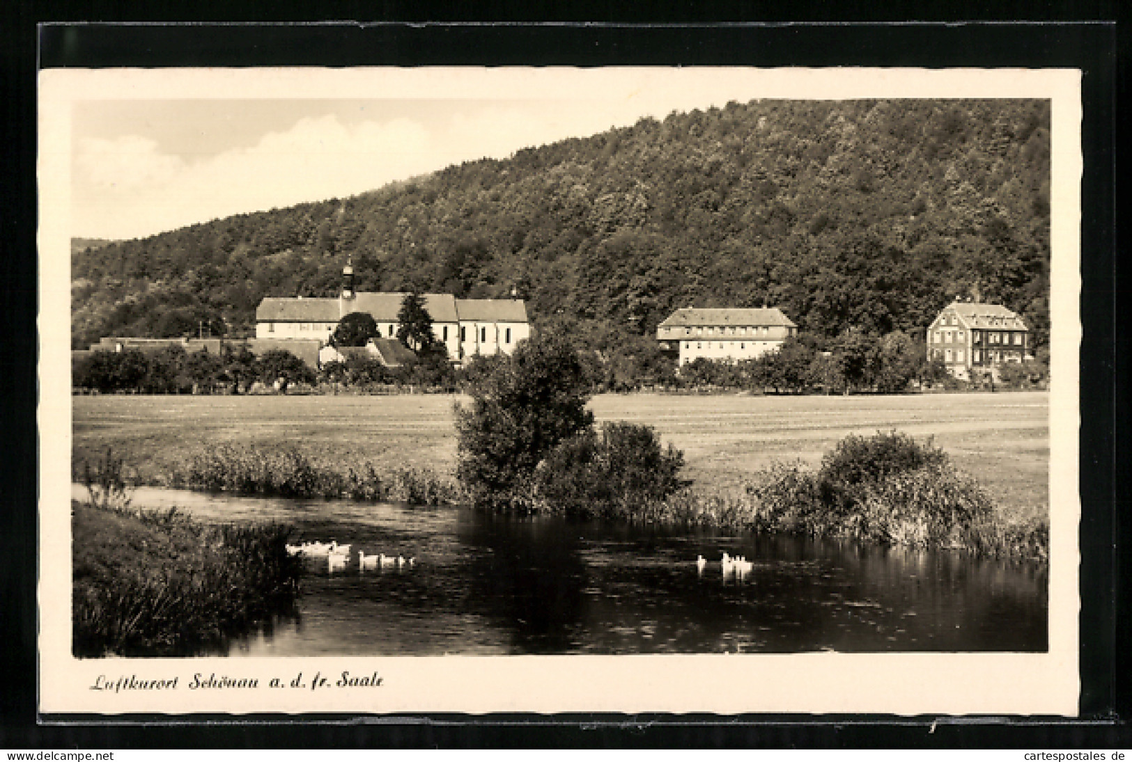 AK Schönau / Gemünden, Idyllische Ortsansicht