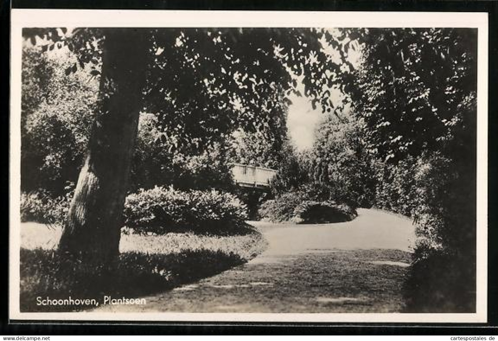 AK Schoonhoven, Plantsoen