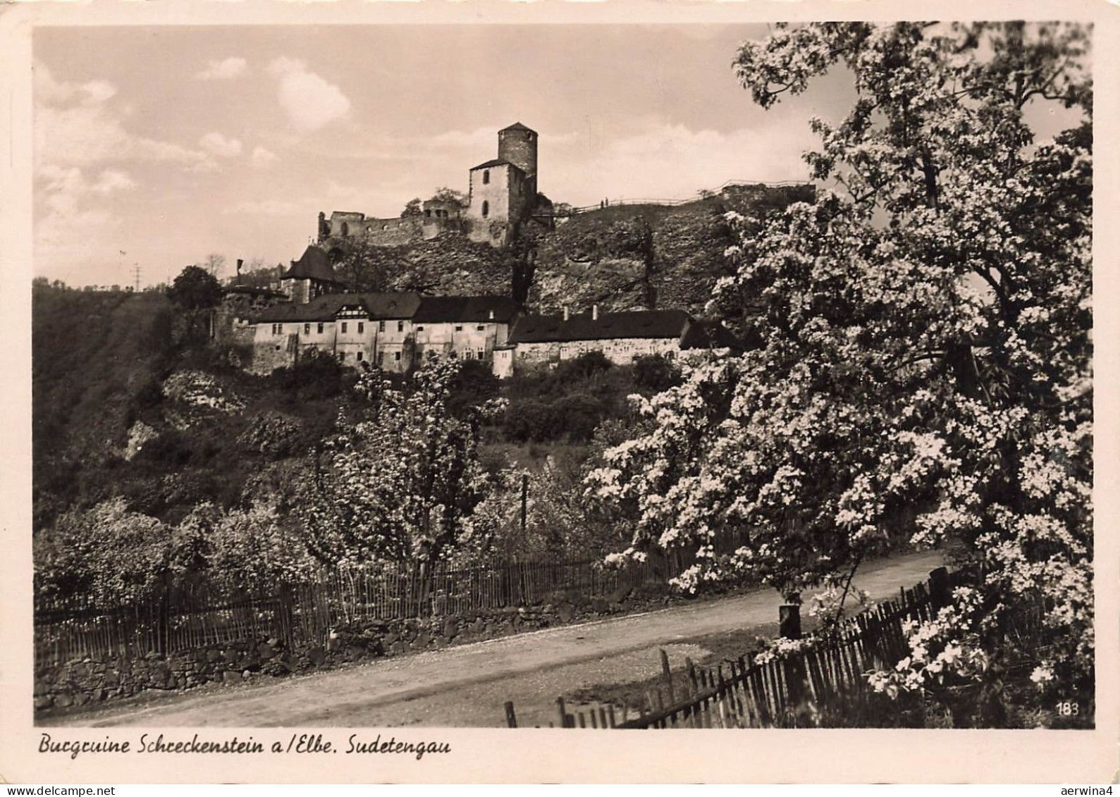 AK Schreckenstein Burgruine Schreckenstein Sudeten ungelaufen Postkarte