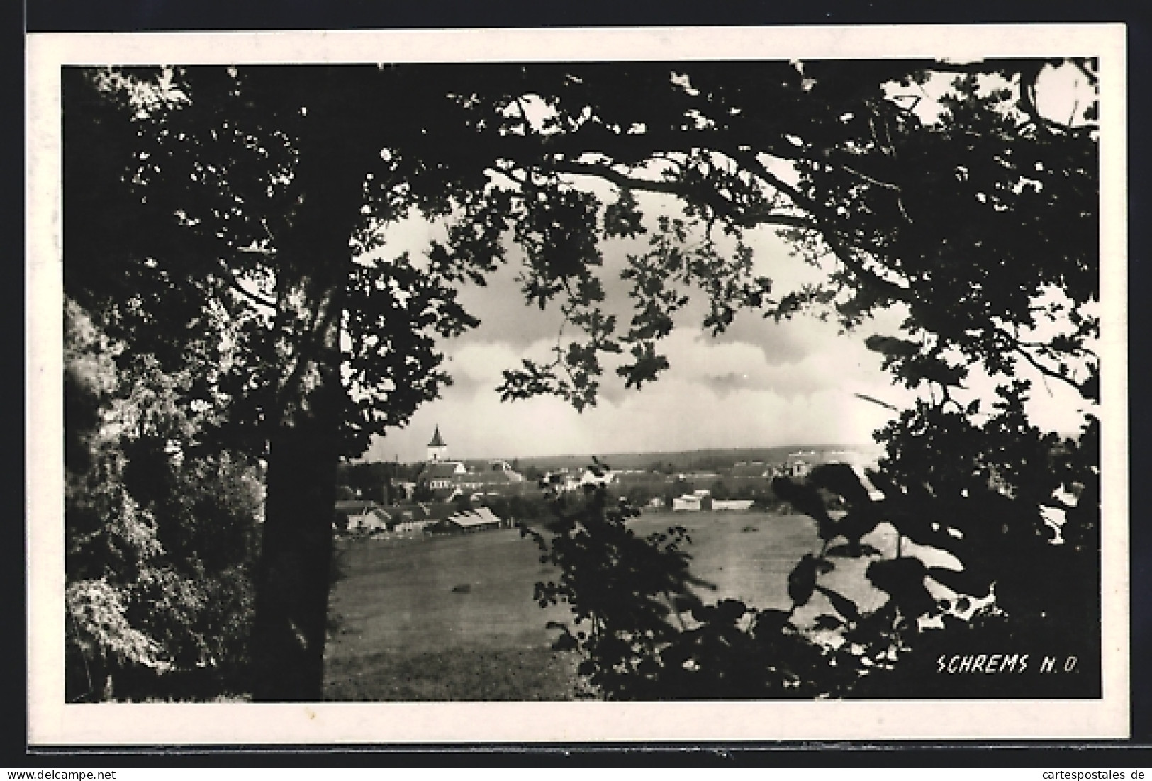 AK Schrems /N. Ö., Ortsansicht zwischen Zweigen hindurch