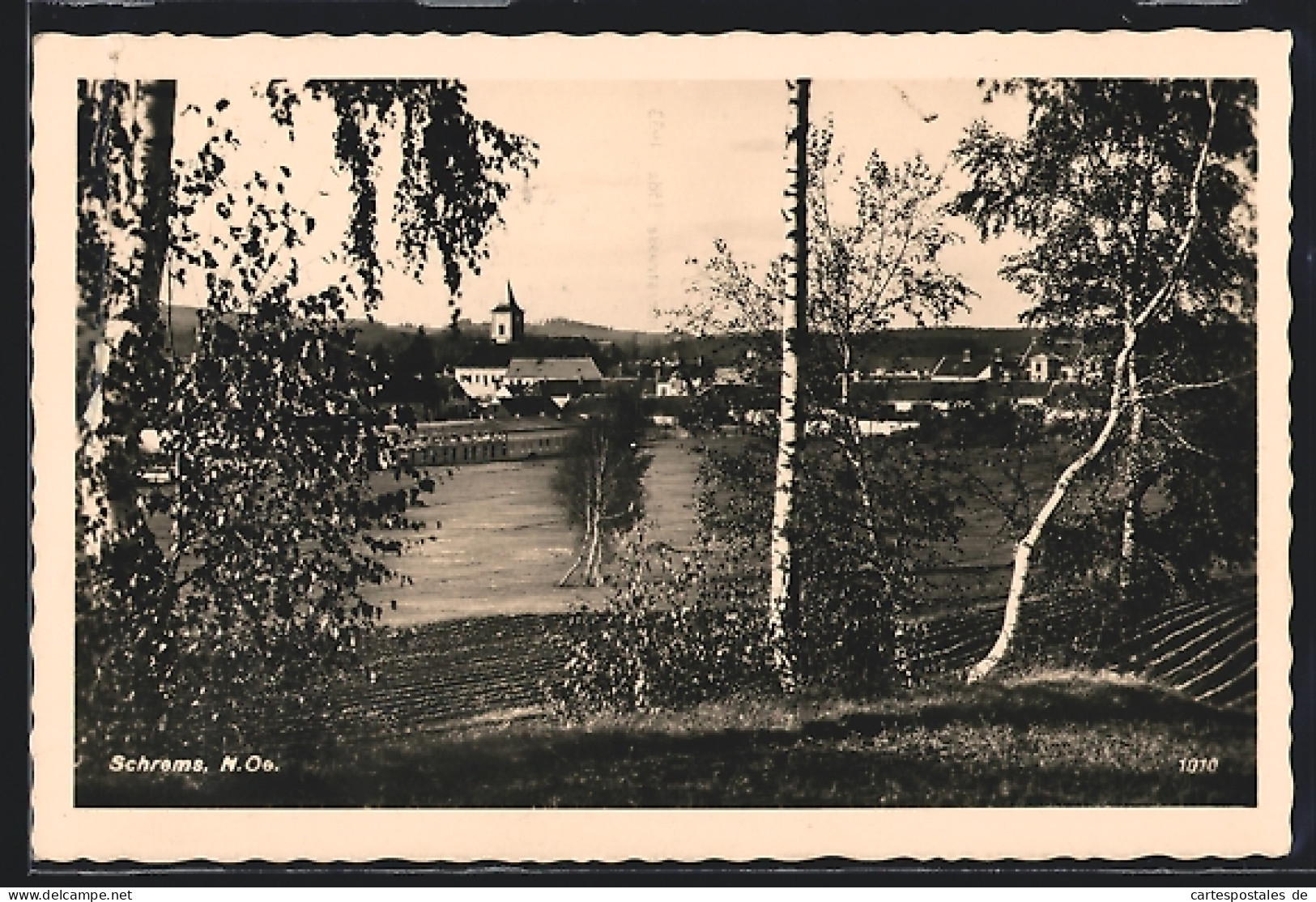 AK Schrems /N.-Oe., Ortsansicht durch ein paar Birken