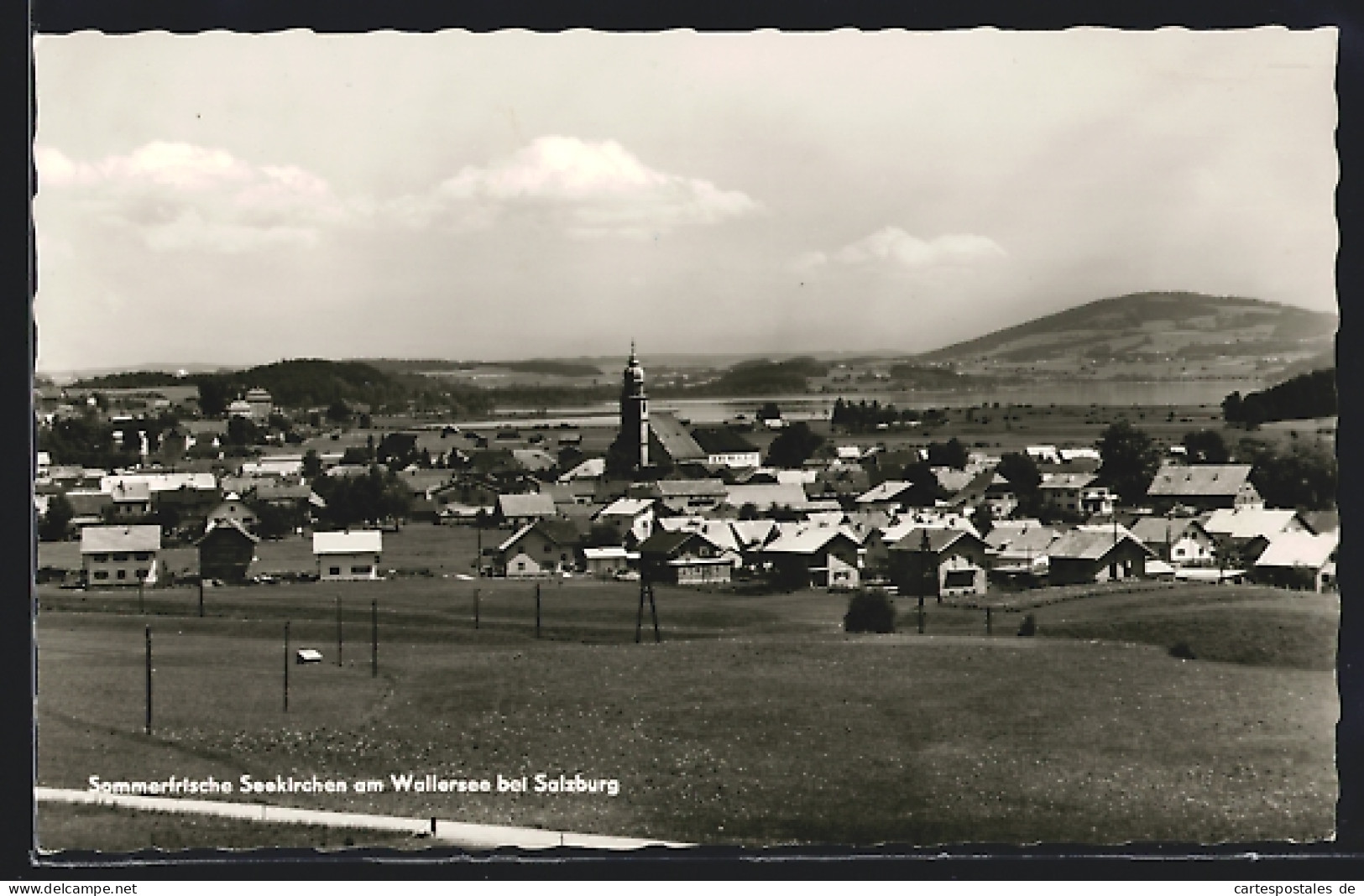 AK Seekirchen am Wallersee, Ortspanorama mit See- und Bergblick