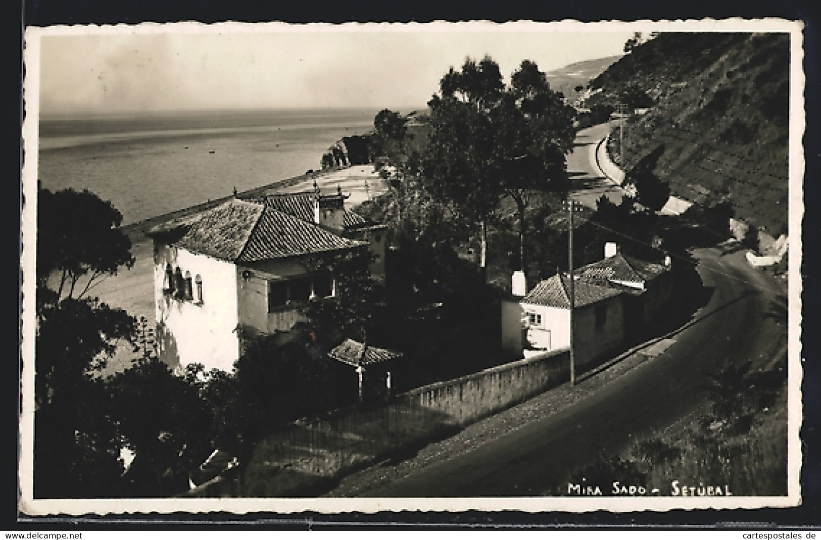 AK Setubal, Mira Sado