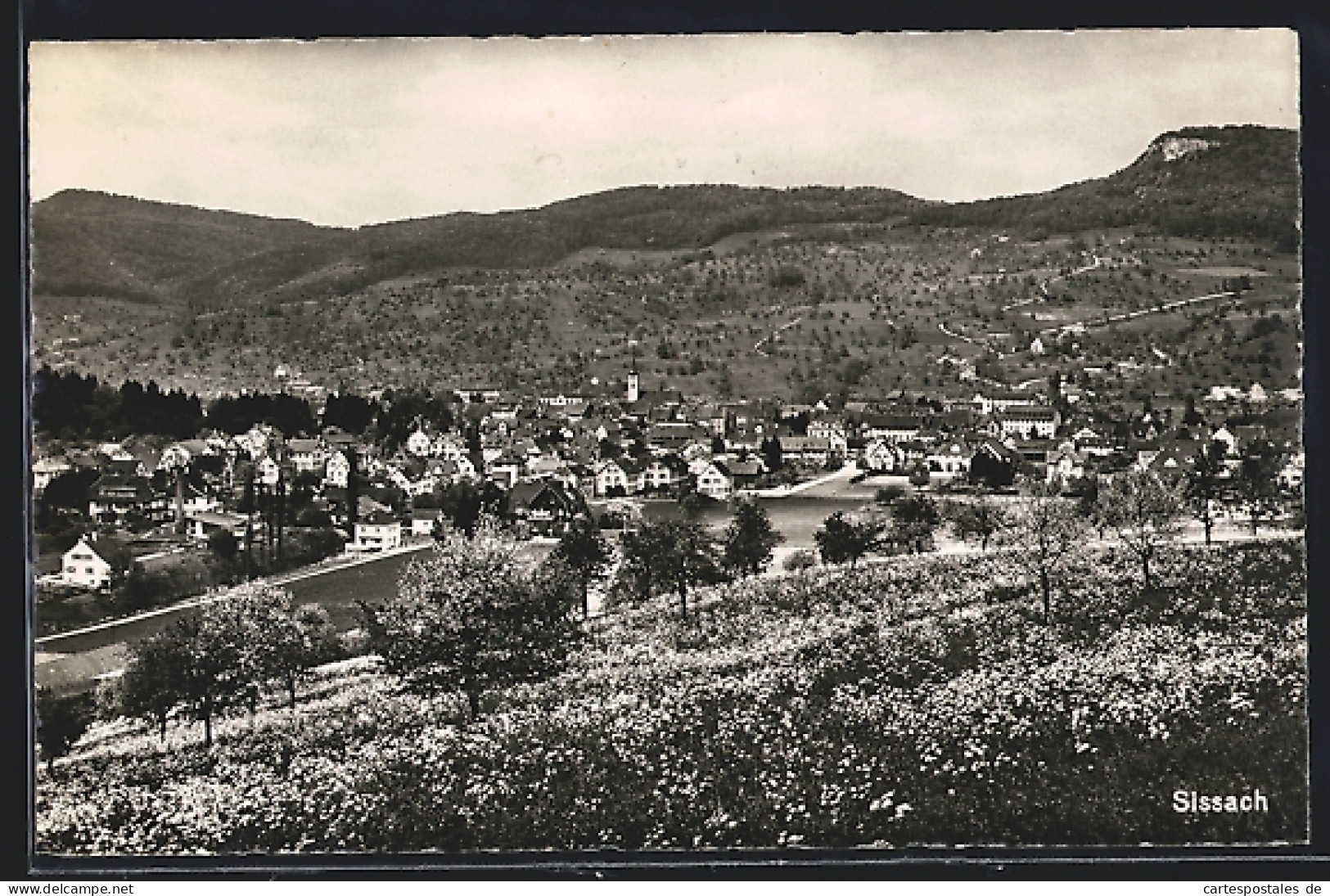 AK Sissach, Teilansicht mit Blumenwiese