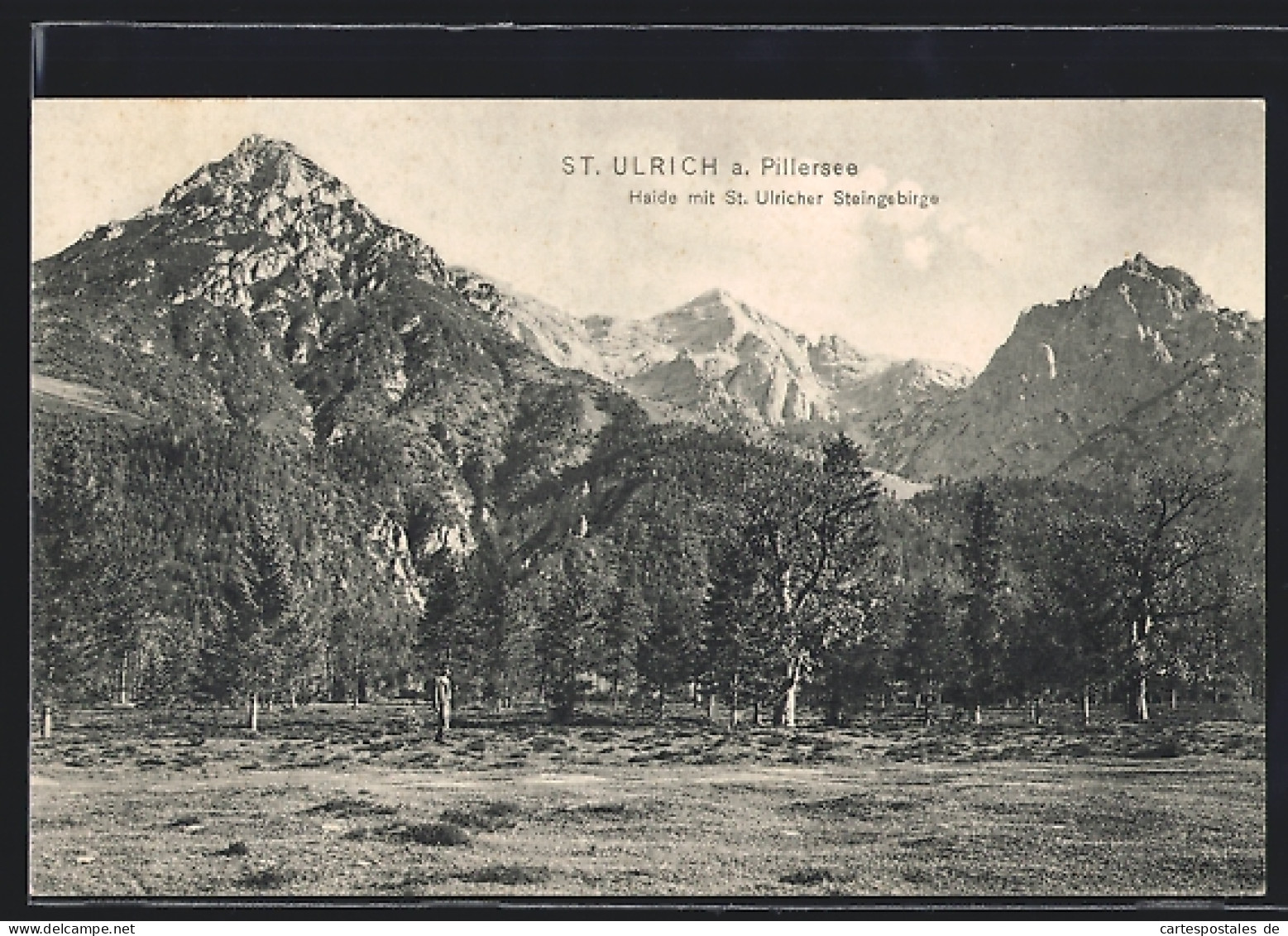 AK St. Ulrich am Pillersee, Haide mit St. Ulricher Steingebirge