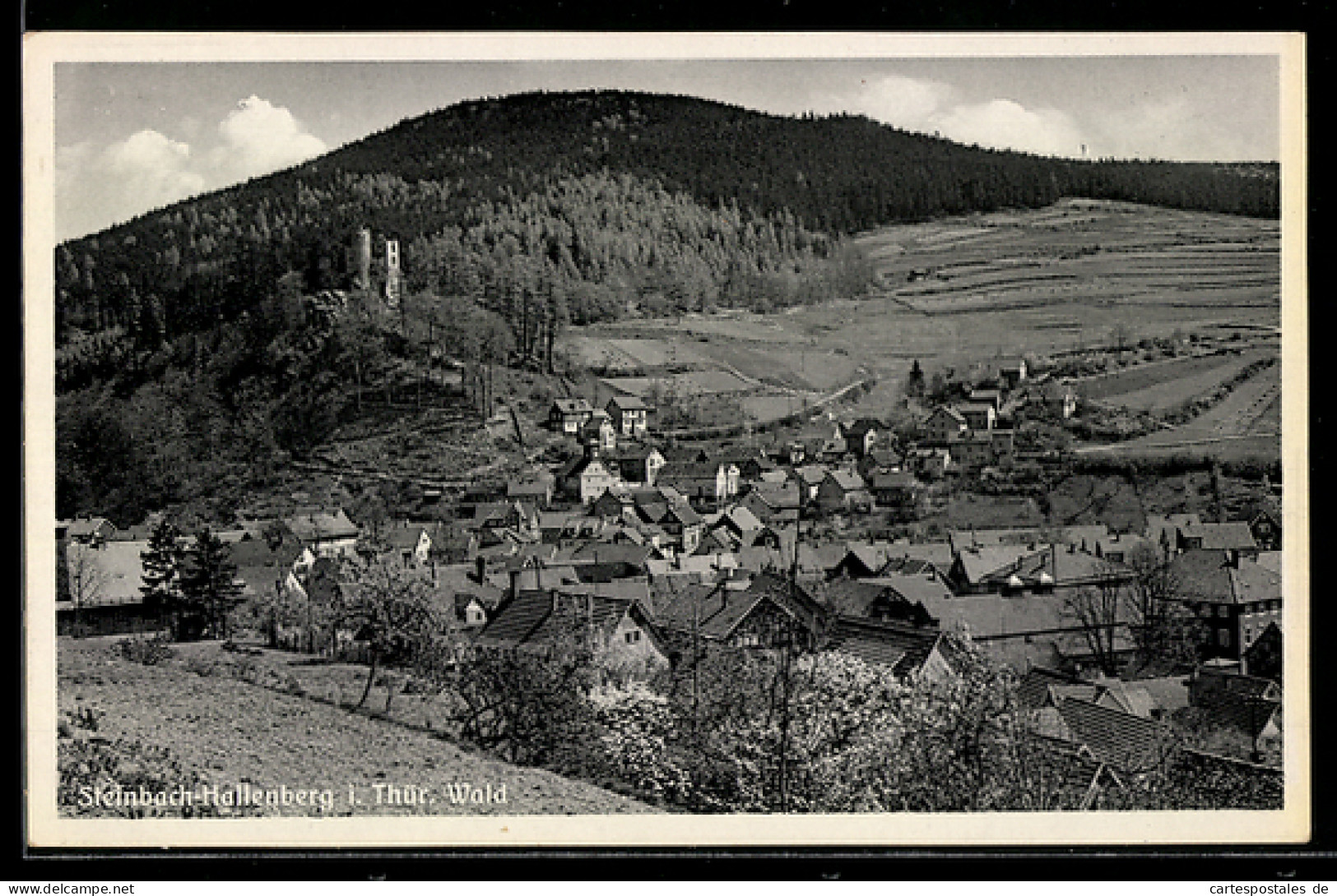 AK Steinbach-Hallenberg i. Thür. Wald, Panorama