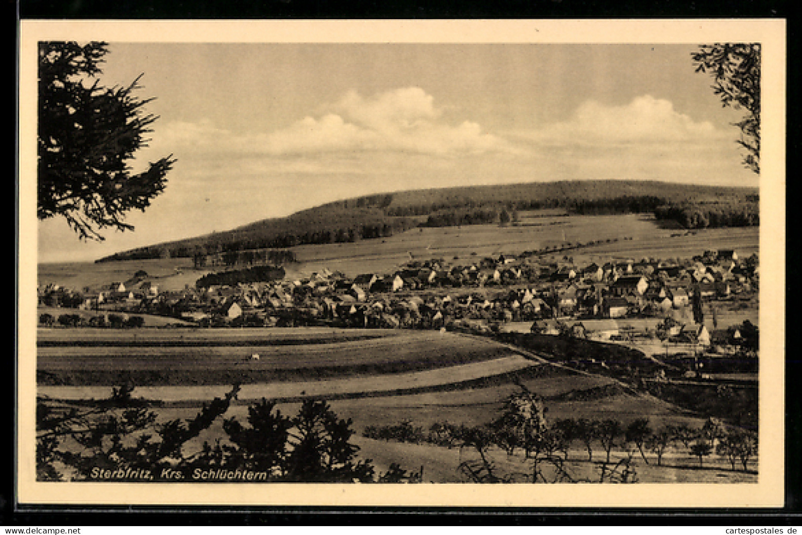 AK Sterbfritz /Schlüchtern, Ortsansicht, Felder, Hügel