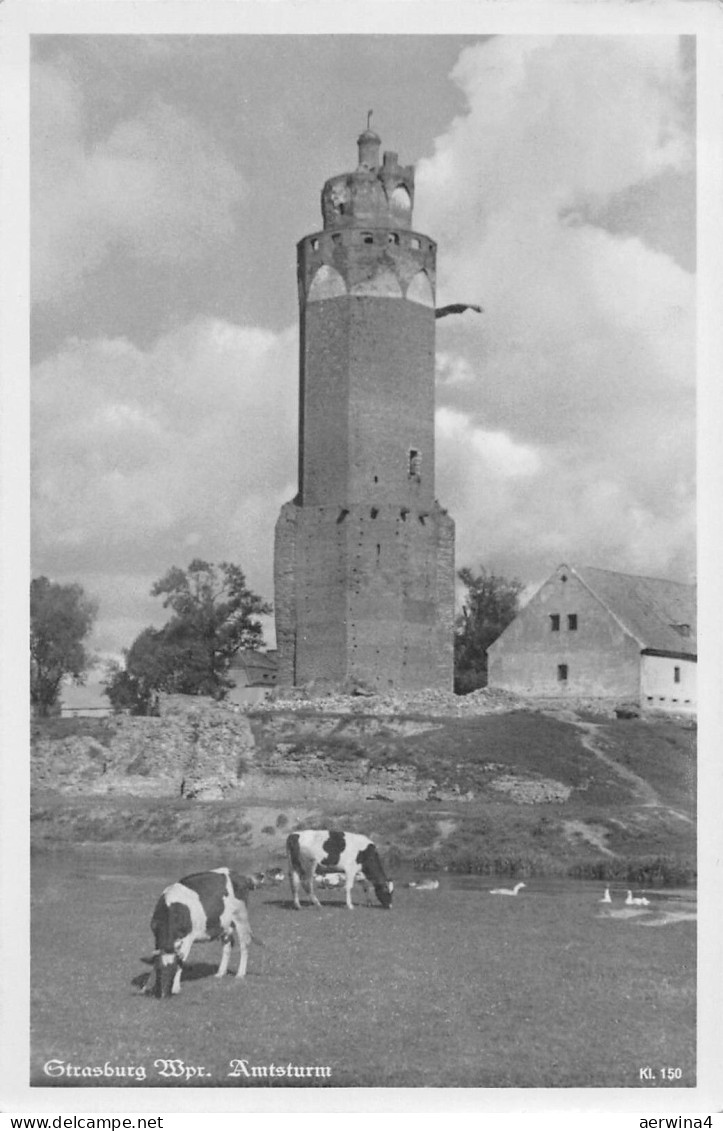 AK Strasburg Westpreußen Kuh am Amtsturm 1942