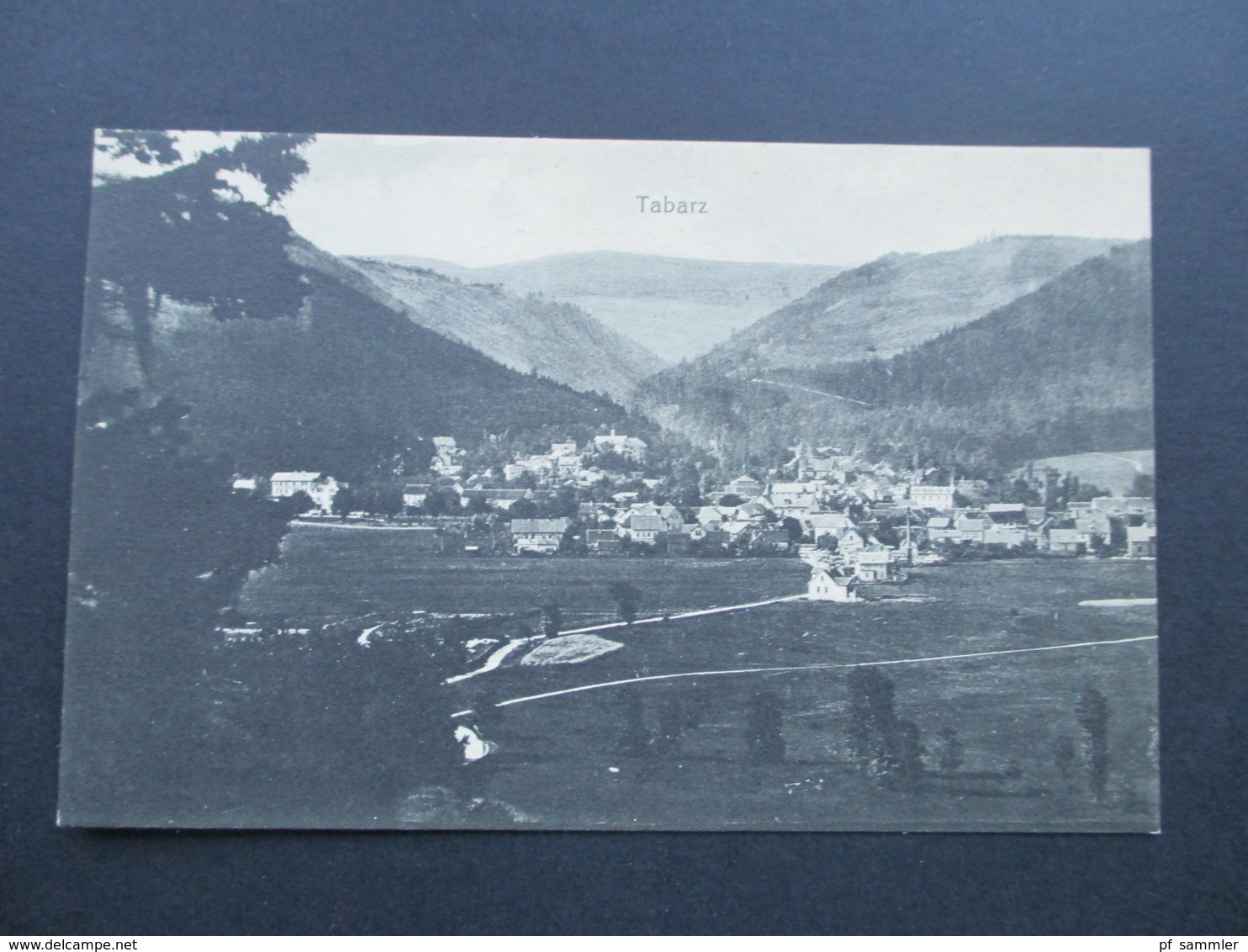 AK Tabarz Panorama. Aufnahme und Verlag Ad. Neumann, Tabarz.