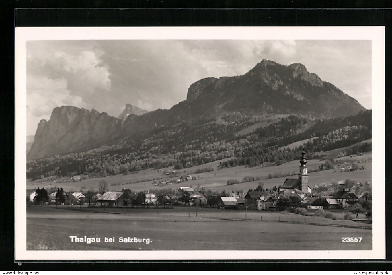 AK Thalgau bei Salzburg, Ortspartie mit Kirche