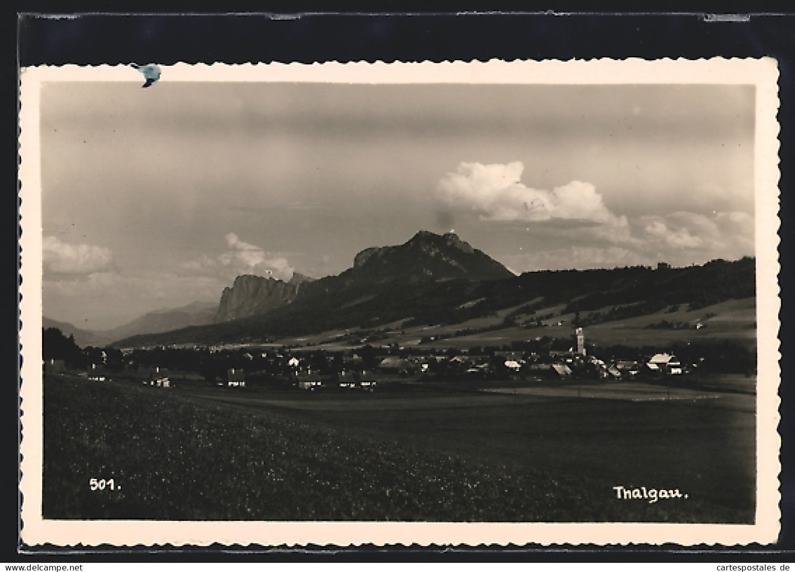 AK Thalgau, Gesamtansicht mit Bergpanorama