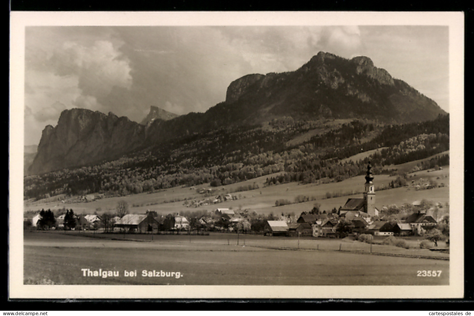 AK Thalgau /Salzburg, Ort mit Kirche und Bergpanorama