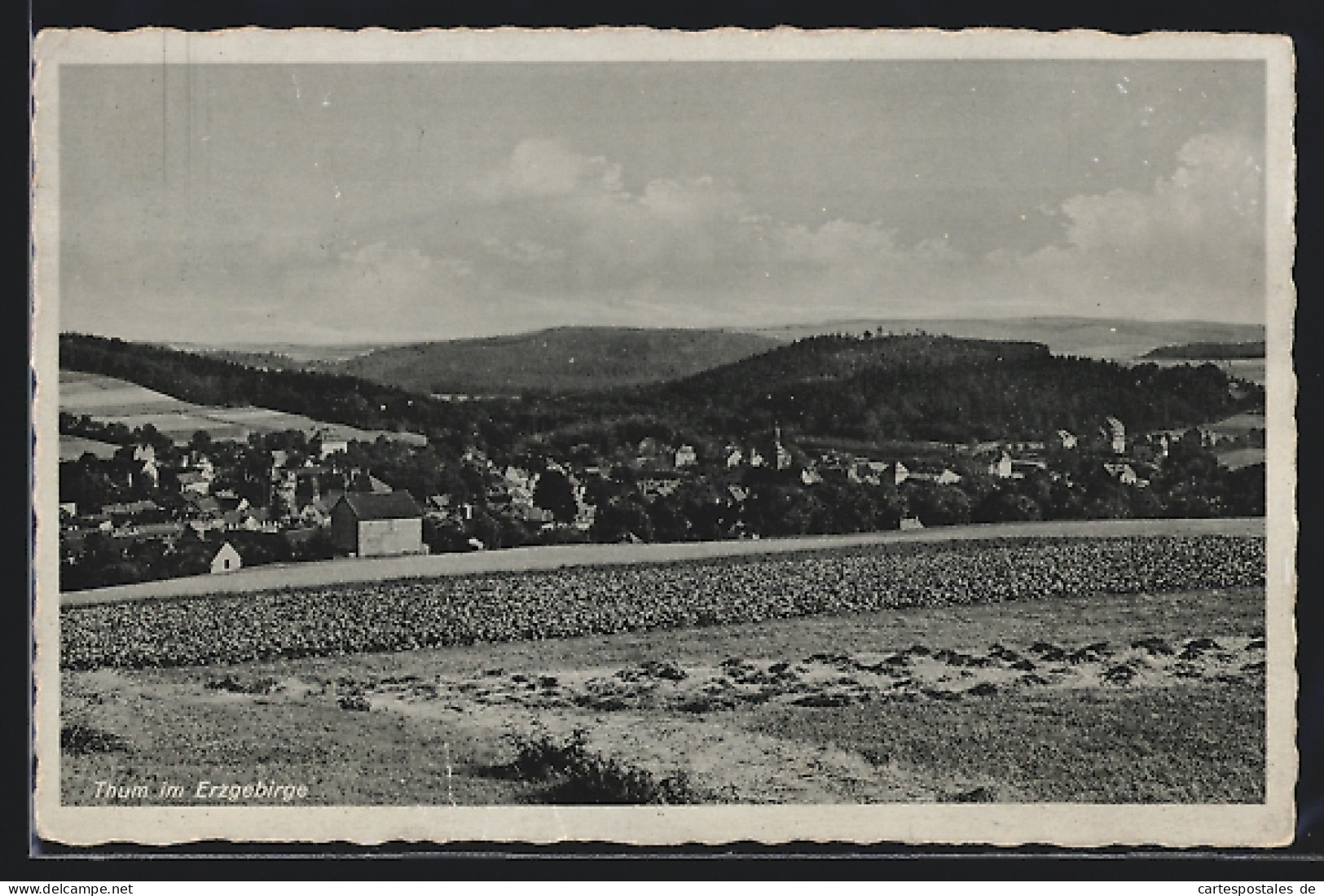 AK Thum im Erzgebirge, Panorama